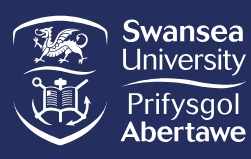 Swansea University